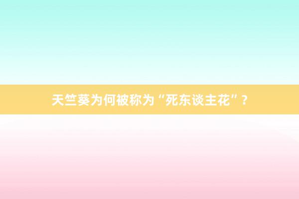 天竺葵为何被称为“死东谈主花”？